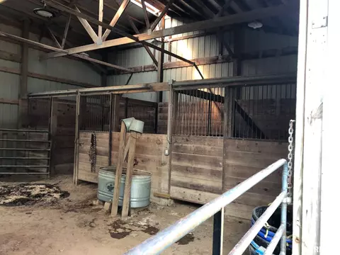 342 Grimm Rd, Congerville, IL 61729 photo 8