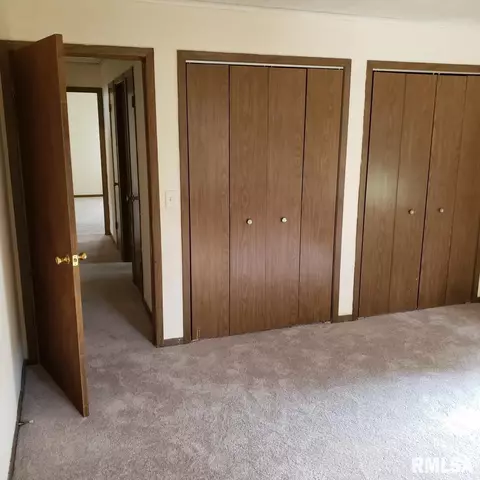 817 E Chestnut St, Canton, IL 61520 photo 20