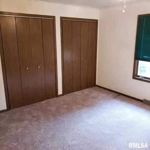 817 E Chestnut St, Canton, IL 61520 photo 23