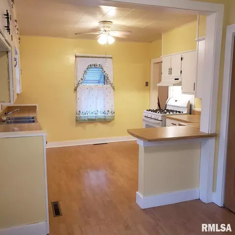 817 E Chestnut St, Canton, IL 61520 photo 9