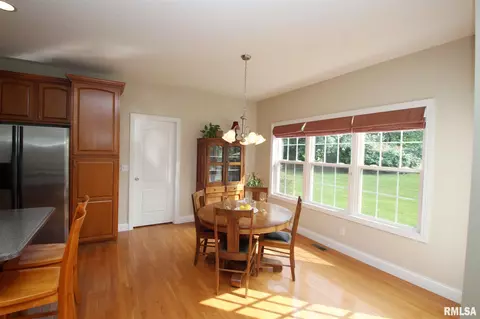 2004 W Castlemain Dr, Dunlap, IL 61525 photo 11