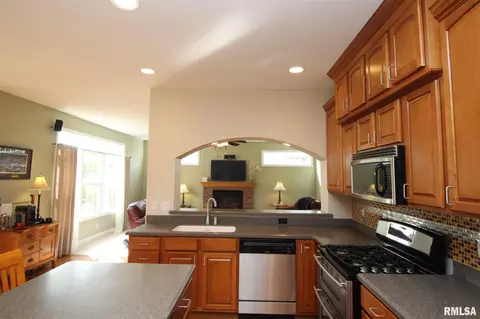 2004 W Castlemain Dr, Dunlap, IL 61525 photo 16