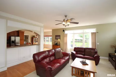 2004 W Castlemain Dr, Dunlap, IL 61525 photo 10