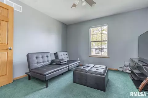 106 Seth Ct, Germantown Hills, IL 61548 photo 18