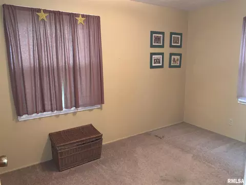 1320 Elm St, Canton, IL 61520 photo 19