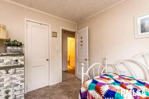 1313 3rd St, Lacon, IL 61540 photo 20