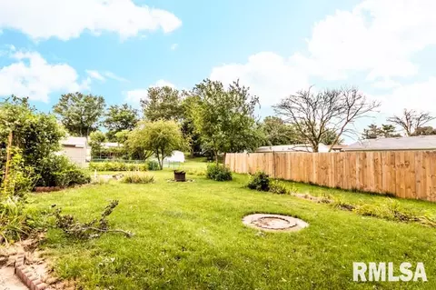 1313 3rd St, Lacon, IL 61540 photo 28