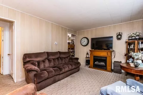 1313 3rd St, Lacon, IL 61540 photo 5