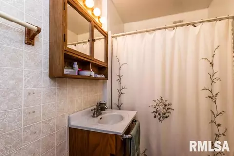 1313 3rd St, Lacon, IL 61540 photo 17