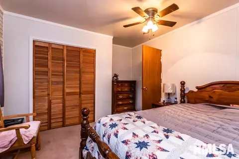 1313 3rd St, Lacon, IL 61540 photo 15