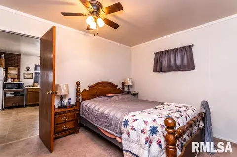 1313 3rd St, Lacon, IL 61540 photo 14