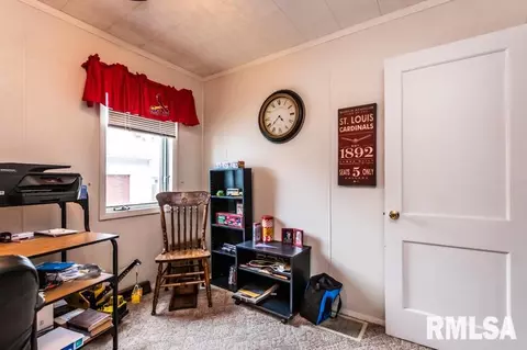 1313 3rd St, Lacon, IL 61540 photo 23