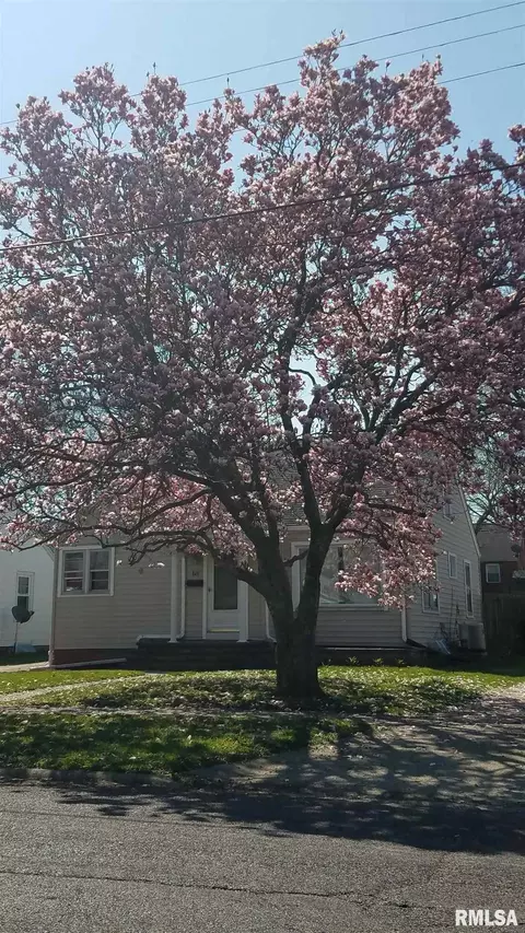 824 E Willcox Ave, Peoria, IL 61603 photo 37