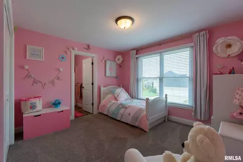 6502 W Willow Oak Ct, Edwards, IL 61528 photo 29