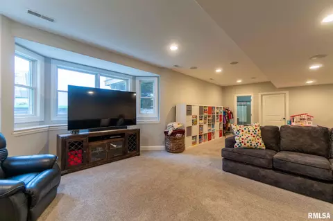 6502 W Willow Oak Ct, Edwards, IL 61528 photo 40