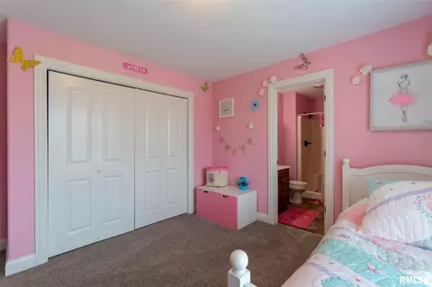 6502 W Willow Oak Ct, Edwards, IL 61528 photo 31