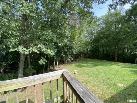 11214 Trigger Rd, Dunlap, IL 61525 photo 34