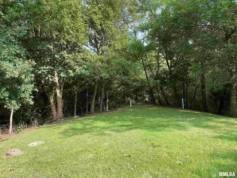 11214 Trigger Rd, Dunlap, IL 61525 photo 6