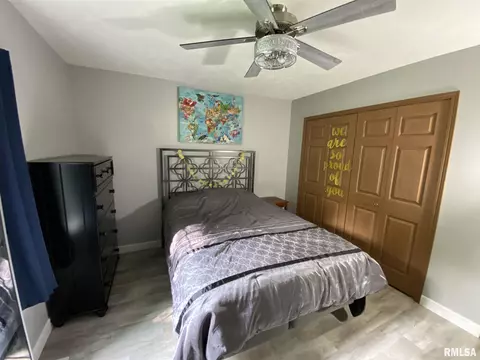 11214 Trigger Rd, Dunlap, IL 61525 photo 28
