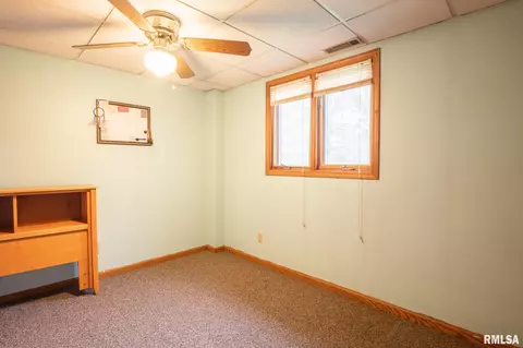 4916 S Sir Lionel Ct, Mapleton, IL 61547 photo 35