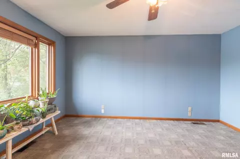 4916 S Sir Lionel Ct, Mapleton, IL 61547 photo 31