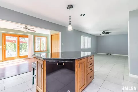 917 E Kay St, Morton, IL 61550 photo 9