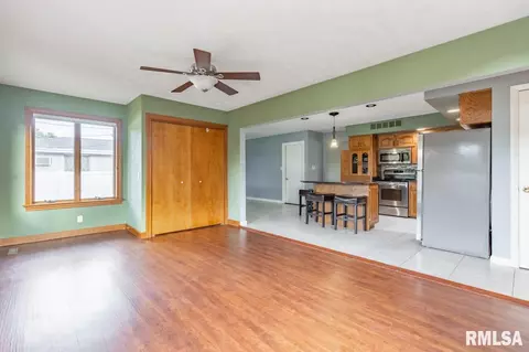917 E Kay St, Morton, IL 61550 photo 16