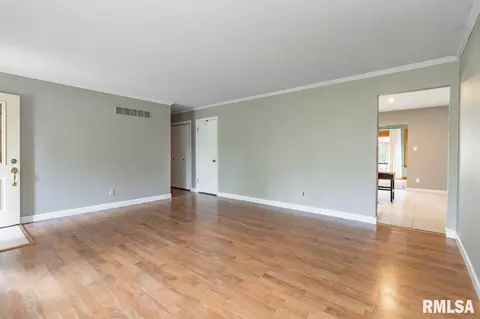 917 E Kay St, Morton, IL 61550 photo 23