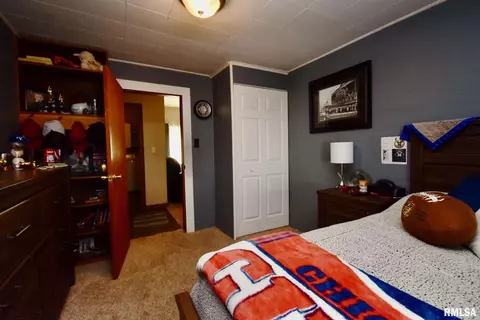 1300 3rd St, Henry, IL 61537 photo 26