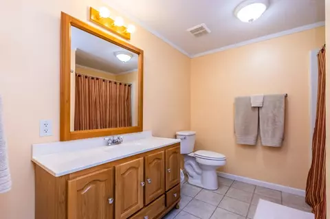18100 River Rd, Danvers, IL 61732 photo 38