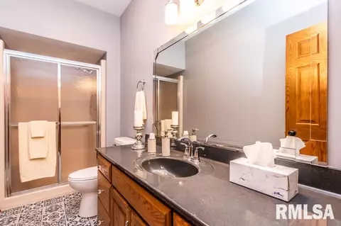 18100 River Rd, Danvers, IL 61732 photo 16