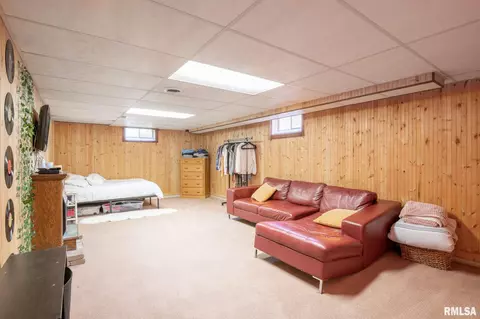 221 E Pine St, Metamora, IL 61548 photo 32