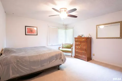 221 E Pine St, Metamora, IL 61548 photo 29