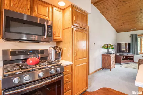 10409 W Lake Camelot Dr, Mapleton, IL 61547 photo 20