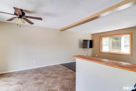 907 Buffalo Run, Danvers, IL 61732 photo 9