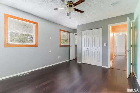 907 Buffalo Run, Danvers, IL 61732 photo 14