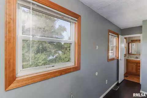 907 Buffalo Run, Danvers, IL 61732 photo 15