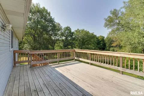 907 Buffalo Run, Danvers, IL 61732 photo 36