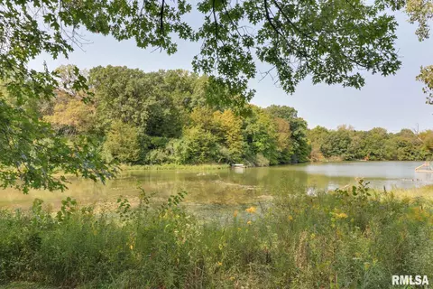 907 Buffalo Run, Danvers, IL 61732 photo 31