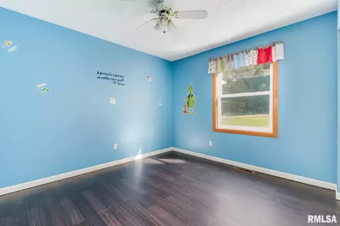 907 Buffalo Run, Danvers, IL 61732 photo 19
