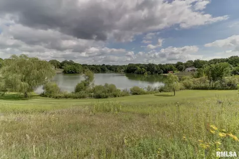 907 Buffalo Run, Danvers, IL 61732 photo 45