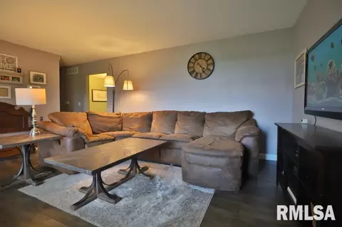 914 Lake Rd, Eureka, IL 61530 photo 11