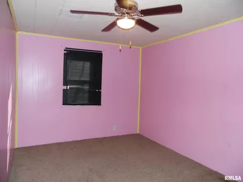 204 E 8th St, Glasford, IL 61533 photo 14