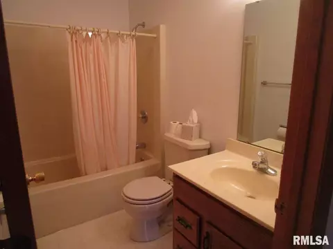 1473 E Myrtle St, Canton, IL 61520 photo 21
