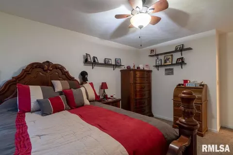 1006 Simon Ct, Eureka, IL 61530 photo 20