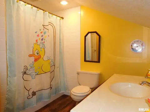 307 W Center St, Eureka, IL 61530 photo 27