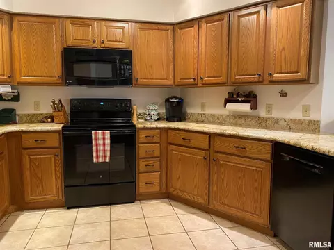 1123 E Sycamore St, Canton, IL 61520 photo 8