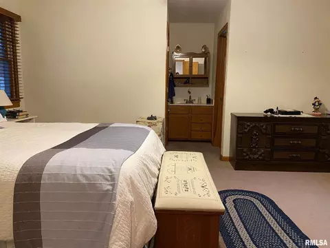 1123 E Sycamore St, Canton, IL 61520 photo 12