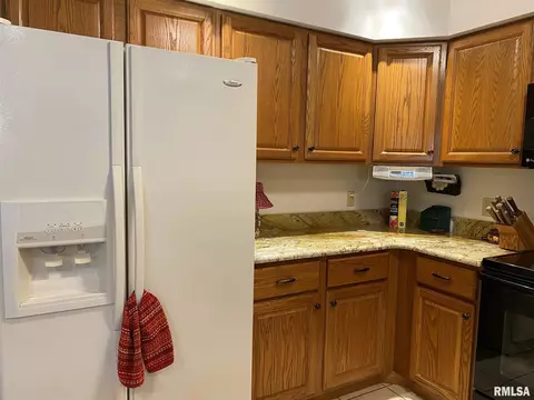 1123 E Sycamore St, Canton, IL 61520 photo 9