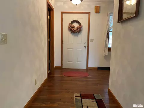 1123 E Sycamore St, Canton, IL 61520 photo 4